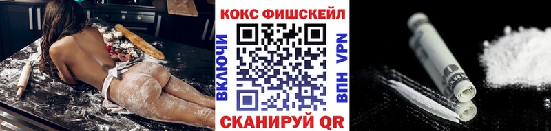 МЕГА маркетплейс  Чита  Cocaine Fish Scale 