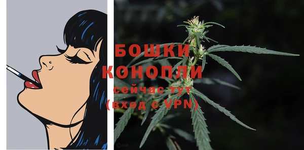 ECSTASY Лиски
