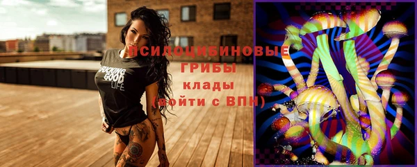 ГАЛЛЮЦИНОГЕННЫЕ ГРИБЫ Лихославль