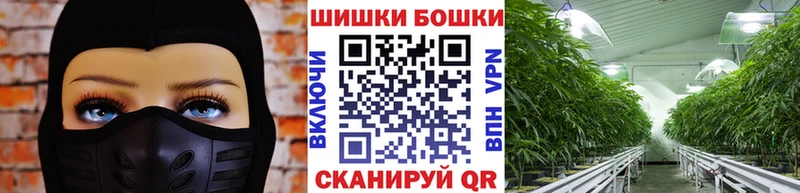 цена   Чита  Конопля OG Kush 